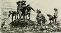 Picture 96 of 148 from Catalogue illustré (1879), leaf 142