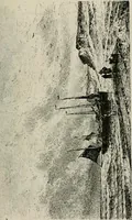 Picture 108 of 148 from Catalogue illustré (1879), leaf 156