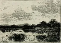 An illustration from Catalogue illustré (1879)