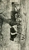 An illustration from Catalogue illustré (1879)
