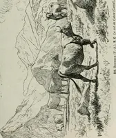 An illustration from Catalogue illustré (1879)