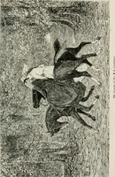 An illustration from Catalogue illustré (1879)