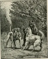 An illustration from Catalogue illustré (1879)
