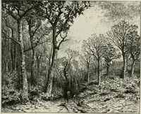 Picture 51 of 148 from Catalogue illustré (1879), leaf 82