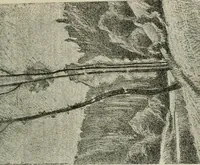 Picture 54 of 517 from Catalogue illustré (1879), leaf 106