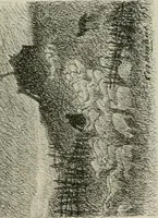 An illustration from Catalogue illustré (1879)