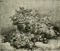 An illustration from Catalogue illustré (1879)