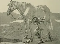 Picture 71 of 517 from Catalogue illustré (1879), leaf 115