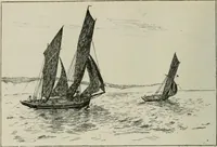 Picture 77 of 517 from Catalogue illustré (1879), leaf 119