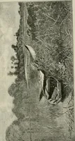 An illustration from Catalogue illustré (1879)