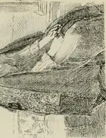 An illustration from Catalogue illustré (1879)