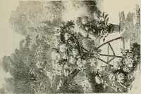 Picture 111 of 517 from Catalogue illustré (1879), leaf 138