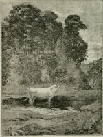 Picture 112 of 517 from Catalogue illustré (1879), leaf 138