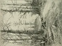 An illustration from Catalogue illustré (1879)
