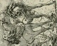 Picture 120 of 517 from Catalogue illustré (1879), leaf 143