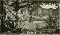 An illustration from Catalogue illustré (1879)