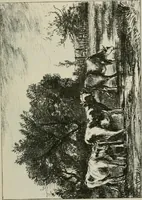 An illustration from Catalogue illustré (1879)