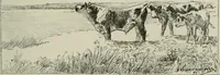An illustration from Catalogue illustré (1879)