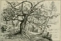 An illustration from Catalogue illustré (1879)