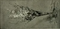Picture 229 of 517 from Catalogue illustré (1879), leaf 205