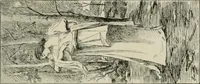 Picture 231 of 517 from Catalogue illustré (1879), leaf 206
