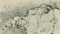 Picture 233 of 517 from Catalogue illustré (1879), leaf 207