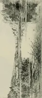 An illustration from Catalogue illustré (1879)