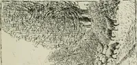 An illustration from Catalogue illustré (1879)