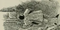 An illustration from Catalogue illustré (1879)
