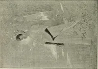 An illustration from Catalogue illustré (1879)