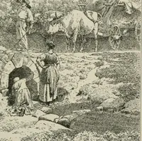 Picture 300 of 517 from Catalogue illustré (1879), leaf 244