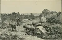 An illustration from Catalogue illustré (1879)