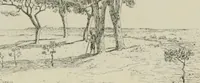 An illustration from Catalogue illustré (1879)