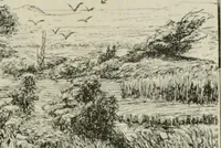 An illustration from Catalogue illustré (1879)