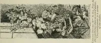 Picture 337 of 517 from Catalogue illustré (1879), leaf 264