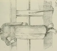 An illustration from Catalogue illustré (1879)
