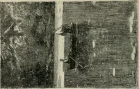 An illustration from Catalogue illustré (1879)