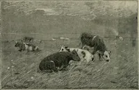 An illustration from Catalogue illustré (1879)