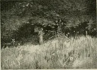 An illustration from Catalogue illustré (1879)