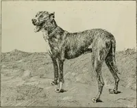 An illustration from Catalogue illustré (1879)