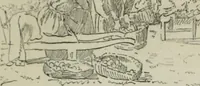Picture 415 of 517 from Catalogue illustré (1879), leaf 306