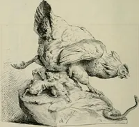 An illustration from Catalogue illustré (1879)