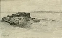 Picture 7 of 517 from Catalogue illustré (1879), leaf 78