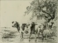 Picture 13 of 517 from Catalogue illustré (1879), leaf 81