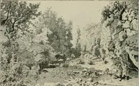 An illustration from Catalogue illustré (1879)