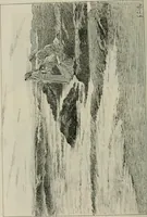 An illustration from Catalogue illustré (1879)