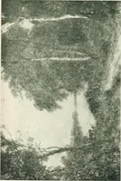 Picture 43 of 456 from Catalogue illustré (1879), leaf 101