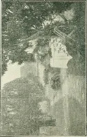 Picture 44 of 456 from Catalogue illustré (1879), leaf 101