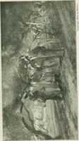 An illustration from Catalogue illustré (1879)