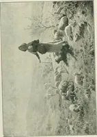 Picture 56 of 456 from Catalogue illustré (1879), leaf 110